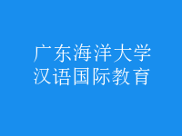 漢語(yǔ)國(guó)際教育