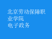 電子政務