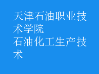 石油化工生產(chǎn)技術(shù)
