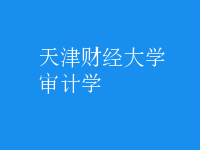 審計(jì)學(xué)