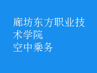 空中乘務