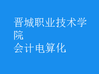會計(jì)電算化