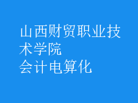會計(jì)電算化