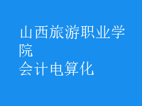 會計(jì)電算化