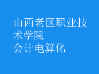 會計(jì)電算化