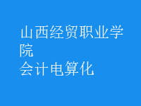會計(jì)電算化