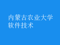 軟件技術(shù)