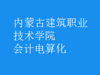 會計(jì)電算化