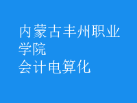 會計(jì)電算化