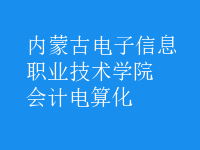 會計(jì)電算化