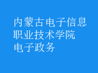 電子政務