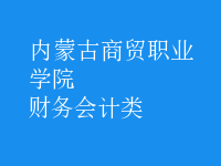 財(cái)務(wù)會計(jì)類