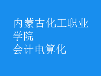 會計電算化