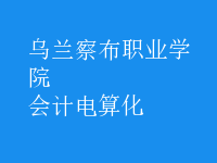 會計(jì)電算化