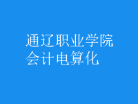 會計(jì)電算化