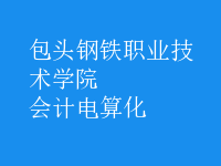 會計(jì)電算化