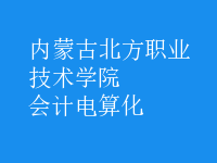 會計(jì)電算化