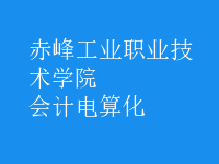 會計(jì)電算化