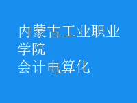 會計(jì)電算化