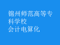 會(huì)計(jì)電算化