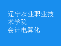 會(huì)計(jì)電算化