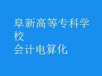 會(huì)計(jì)電算化