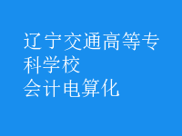 會(huì)計(jì)電算化