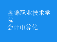 會(huì)計(jì)電算化