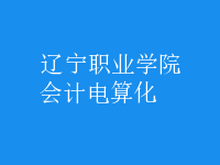 會(huì)計(jì)電算化