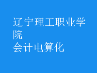 會(huì)計(jì)電算化