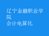 會(huì)計(jì)電算化