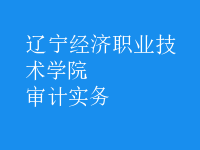 審計(jì)實(shí)務(wù)