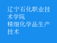 精細化學(xué)品生產(chǎn)技術(shù)