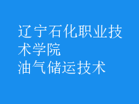 油氣儲運技術(shù)