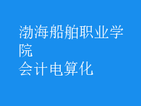 會(huì)計(jì)電算化