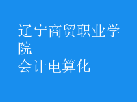 會(huì)計(jì)電算化