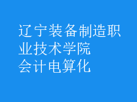 會(huì)計(jì)電算化