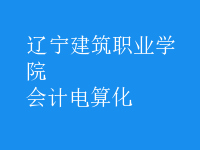 會(huì)計(jì)電算化