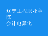 會(huì)計(jì)電算化