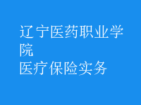 醫(yī)療保險(xiǎn)實(shí)務(wù)