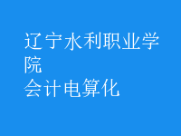 會(huì)計(jì)電算化