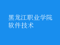 軟件技術(shù)