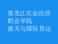 報(bào)關(guān)與國際貨運(yùn)