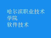 軟件技術(shù)
