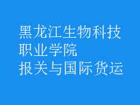 報(bào)關(guān)與國際貨運(yùn)