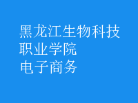 電子商務(wù)