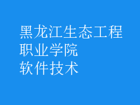 軟件技術(shù)