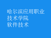 軟件技術(shù)