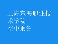空中乘務