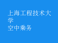空中乘務